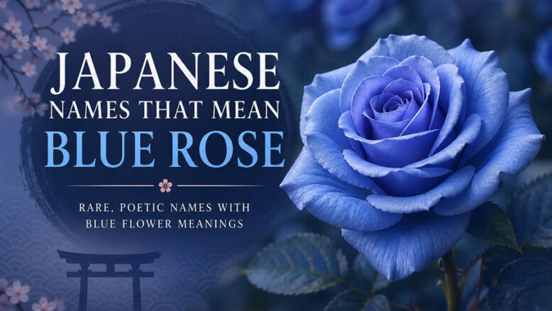 Japanese Names That Mean Blue Rose