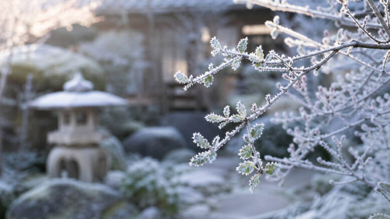 Japanese Names That Mean Frost