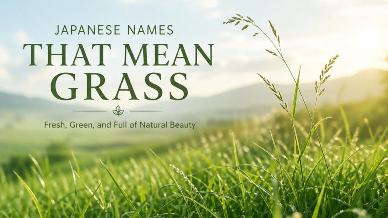 Japanese Names That Mean Grass