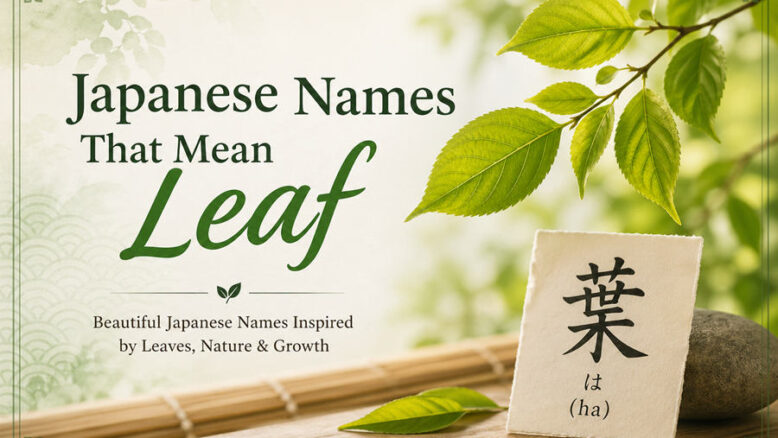 Japanese Names That Mean Leaf