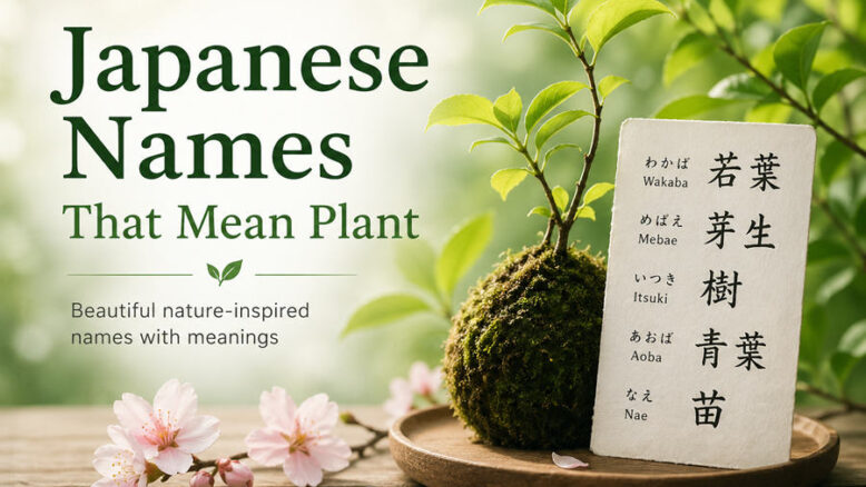 Japanese Names That Mean Plant